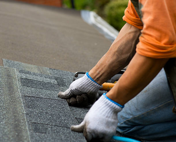 Best Commercial Roofing Services  in Mazon, IL